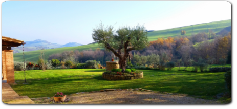 realizzazione e manutenzione giardini